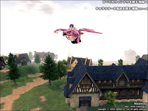 ブーストドラゴン