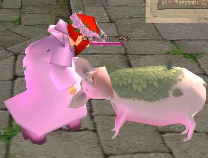 mabinogi_2006_09_13_021s