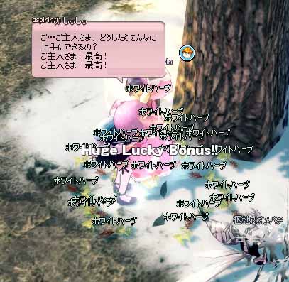 ホワイトハーブ