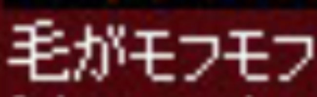 がもふもふ
