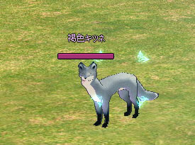 見えないアイススピア