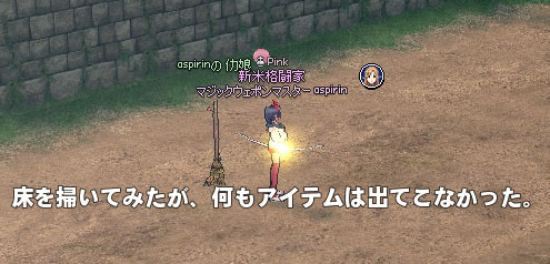 床を掃いてみたが、何もアイテムは出てこなかった。