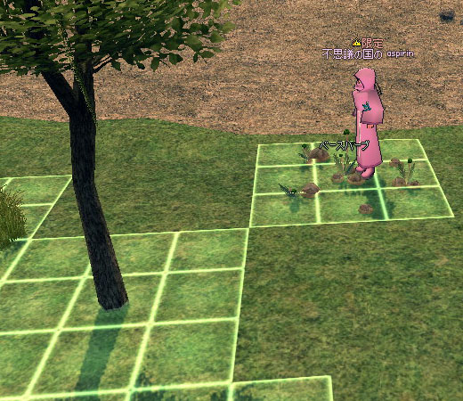 装飾物と生産物