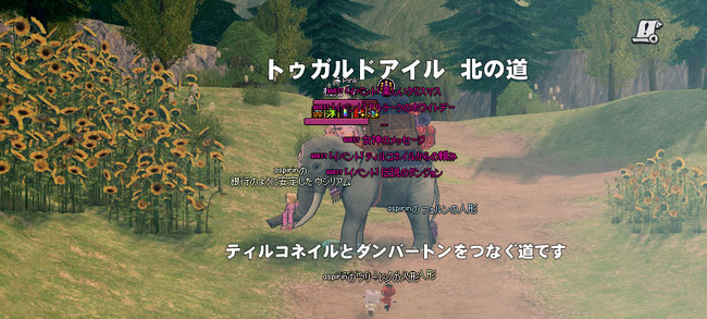 ひまわりが満開ｗｗ