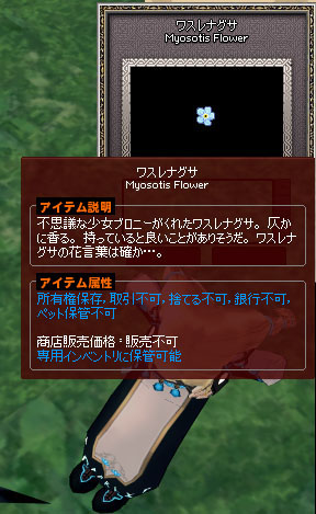 ワスレナグサ…