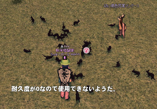 おびただしい量のチョコレートクッキー