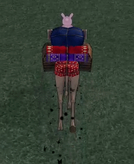 ラクダ