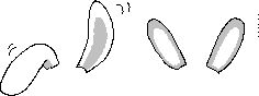 chat_20211020_220237_aspirin