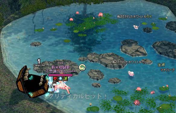 解放されたホワイトキウイ