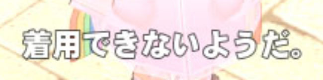 着用できないようだ。