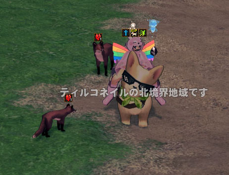 愛くるしい動き