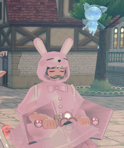 ラビットレインコート