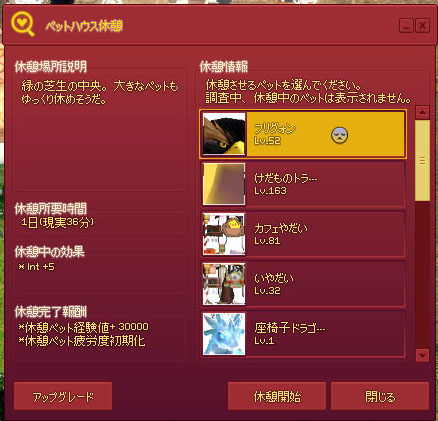 大型ペット