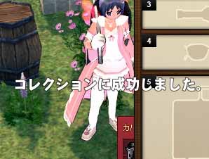 コレクションに成功しました。