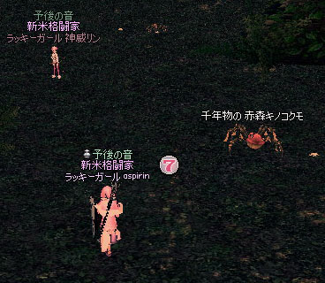 赤森キノコクモ