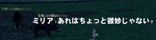 微妙なイノシシ