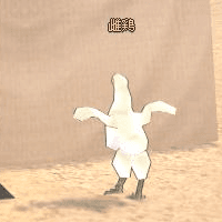 雌鳥2