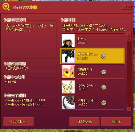 中型