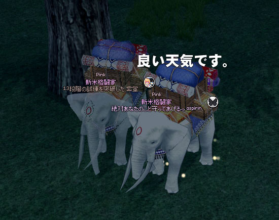 かわいそうなぞうｗ
