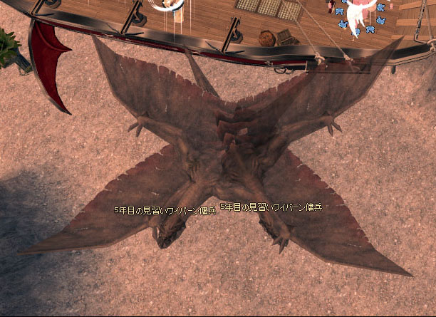 5年目の見習いワイバーン