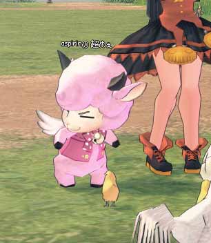 ピンクいめぇ