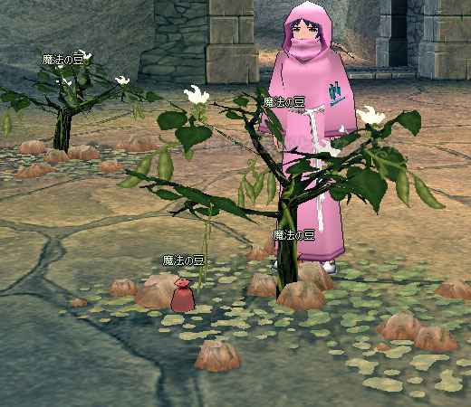 魔法の豆が育つダンジョン