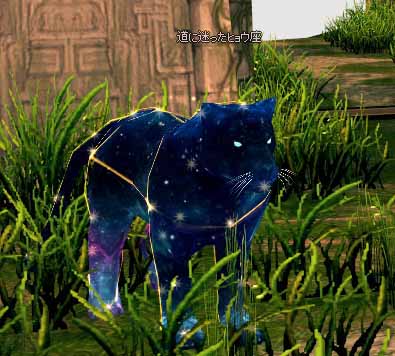 道に迷ったヒョウ座