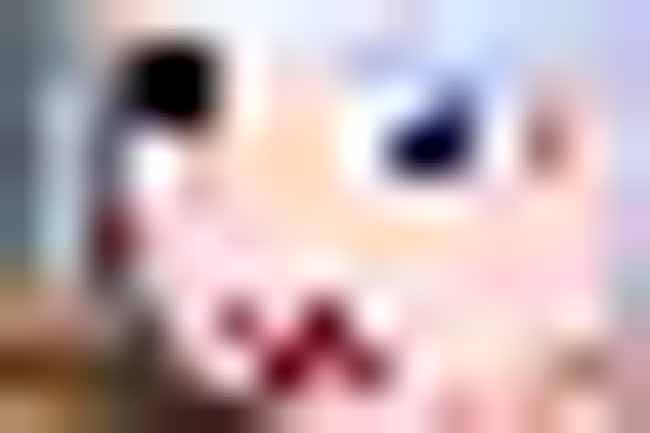怖すぎ