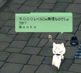 asokow