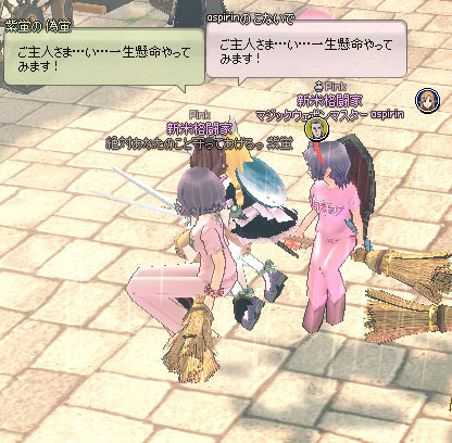 パートナーの魔法のホウキ