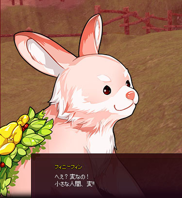 へえ?