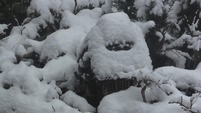 大雪庭池