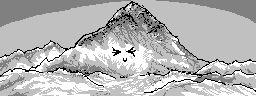 chat_20250101_233430_[一般] aspirin