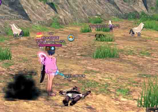 すごく強そうな褐色クマ