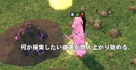 何か採集したい欲求が燃え上がり始める。