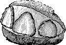 chat_20211008_211844_[一般] aspirin