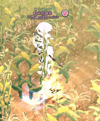 キャンプファイア