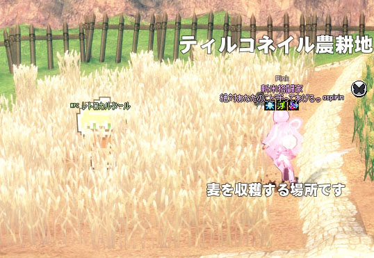 なんでやねんｗ