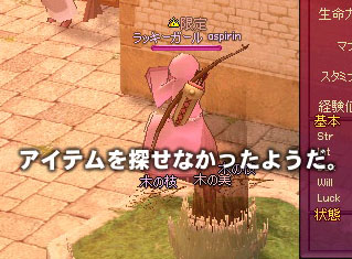 アイテムを探せなかったようだ。
