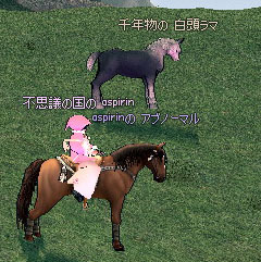 千年物の 白頭ラマ