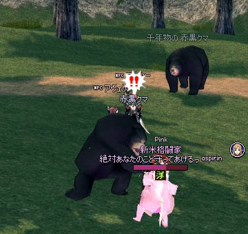 クマwwww