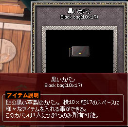 謎の黒い革製のカバン。