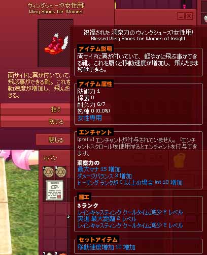 ウィングシューズ