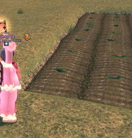 ケルラベースキャンプ