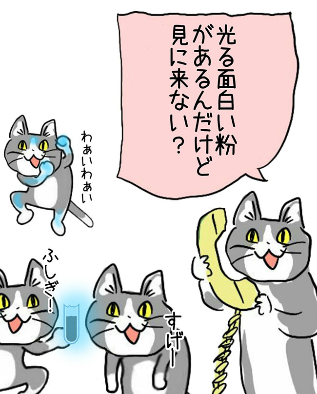 光る