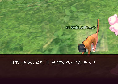 ｗｗｗｗｗｗｗｗｗｗｗ