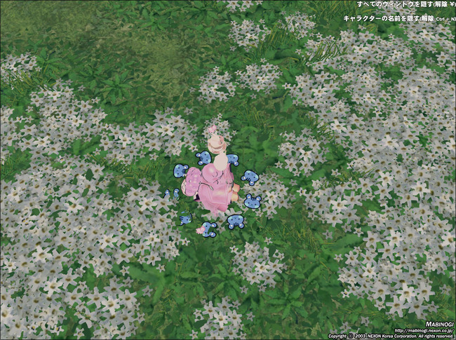 花束が出るところ