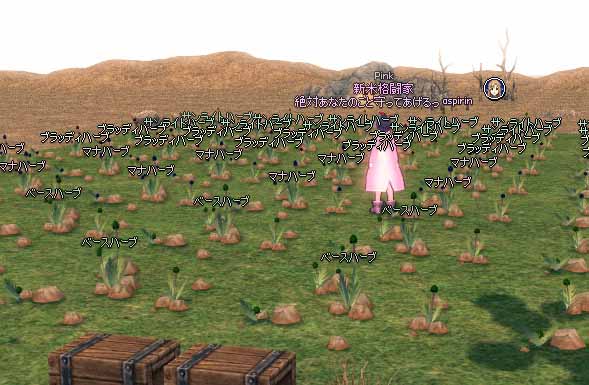 名前がごちゃごちゃ