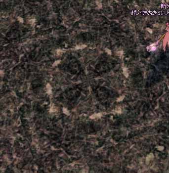 アンブレラｗｗｗ