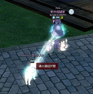 魂の連結状態